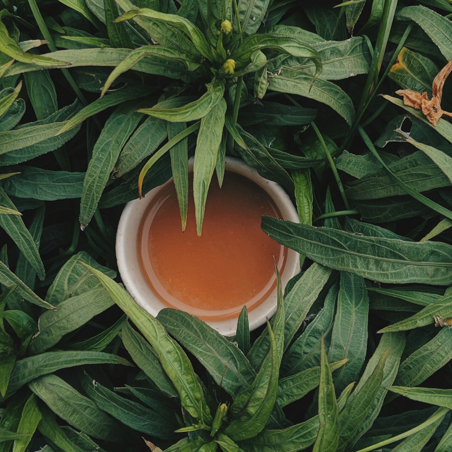 Illustration of Silk Road Green Tea
